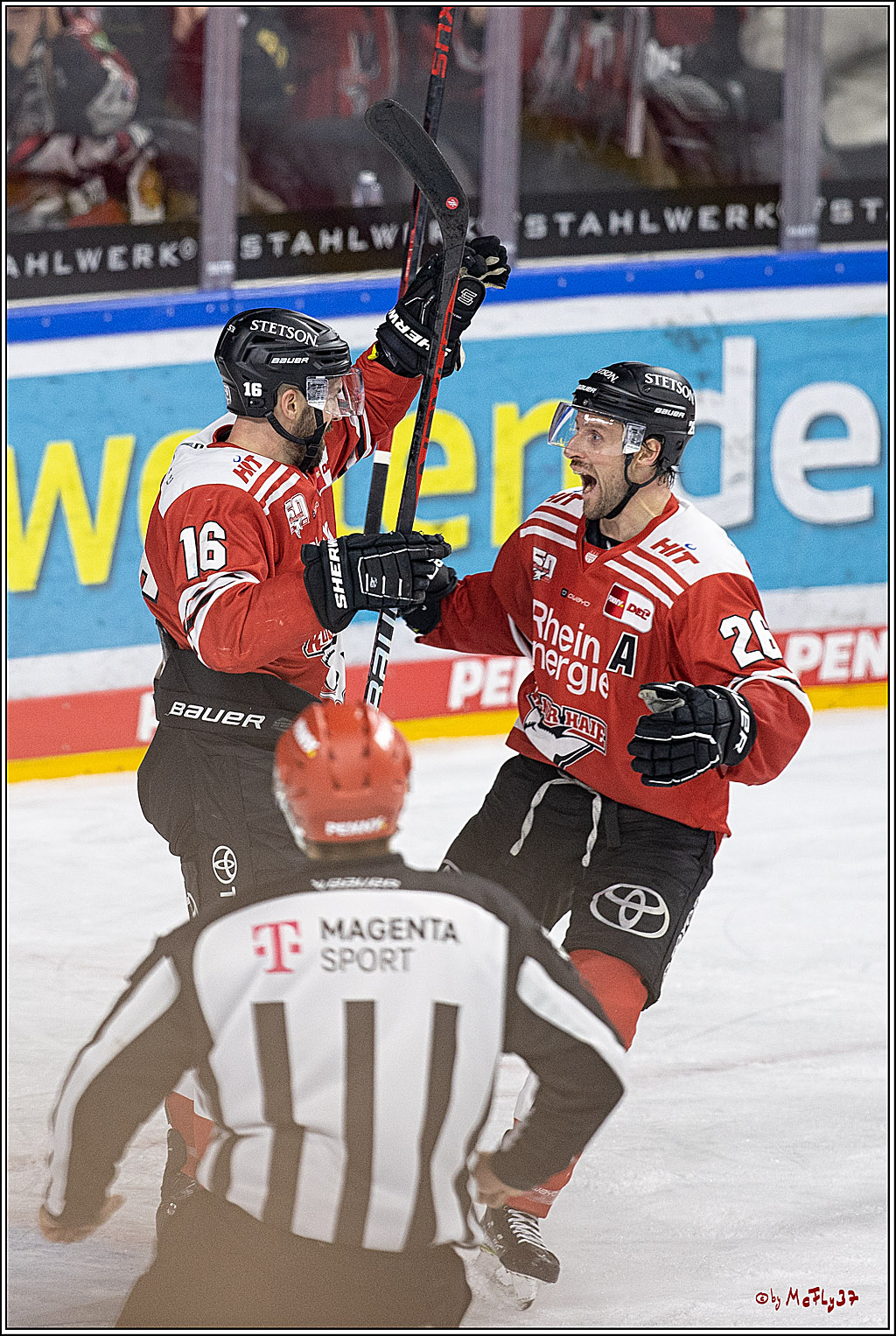 PENNY DEL;  Kölner Haie - Düsseldorfer EG; Köln, 16.12.2022